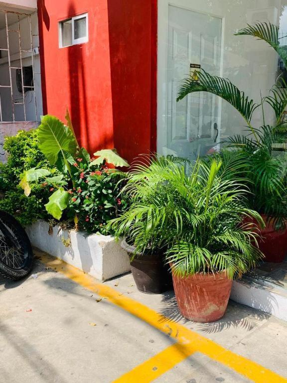 Hotel Bellamar Cartagena Bagian luar foto
